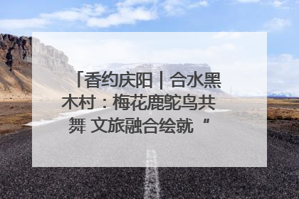 香约庆阳｜合水黑木村：梅花鹿鸵鸟共舞 文旅融合绘就“诗与远方”