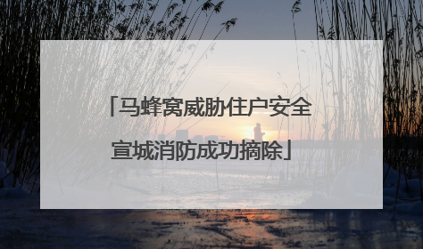 马蜂窝威胁住户安全 宣城消防成功摘除