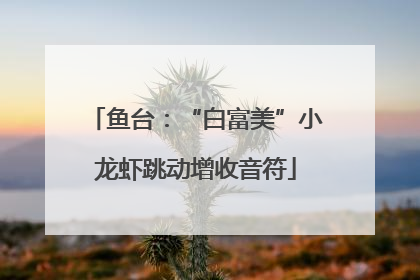 鱼台：“白富美”小龙虾跳动增收音符