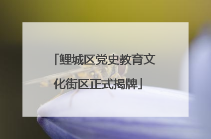 鲤城区党史教育文化街区正式揭牌