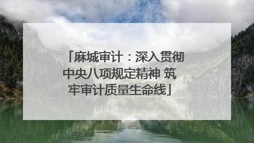 麻城审计：深入贯彻中央八项规定精神 筑牢审计质量生命线