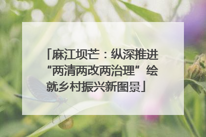 麻江坝芒：纵深推进“两清两改两治理”绘就乡村振兴新图景