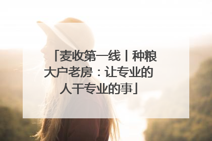 麦收第一线丨种粮大户老房：让专业的人干专业的事