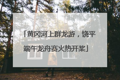 黄冈河上群龙游，饶平端午龙舟赛火热开桨