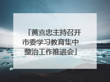 黄喜忠主持召开市委学习教育集中整治工作推进会