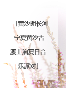 黄沙拥长河 宁夏黄沙古渡上演夏日音乐派对