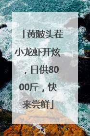 黄陂头茬小龙虾开炫，日供8000斤，快来尝鲜