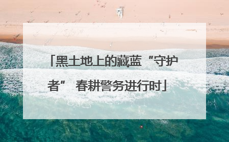 黑土地上的藏蓝“守护者” 春耕警务进行时