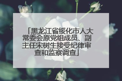 黑龙江省绥化市人大常委会原党组成员、副主任宋树生接受纪律审查和监察调查