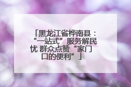 黑龙江省桦南县：“一站式”服务解民忧 群众点赞“家门口的便利”