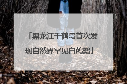 黑龙江千鹤岛首次发现自然界罕见白鸬鹚