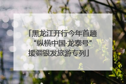黑龙江开行今年首趟“纵横中国·龙泰号”援疆银发旅游专列