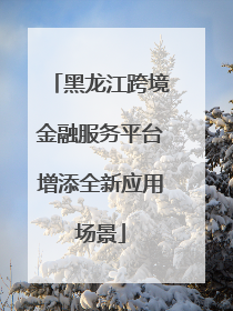黑龙江跨境金融服务平台增添全新应用场景