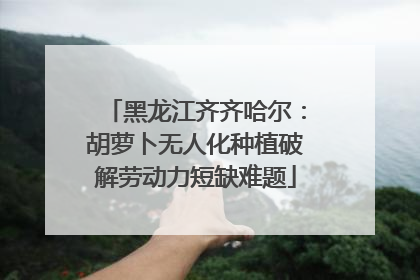 黑龙江齐齐哈尔：胡萝卜无人化种植破解劳动力短缺难题