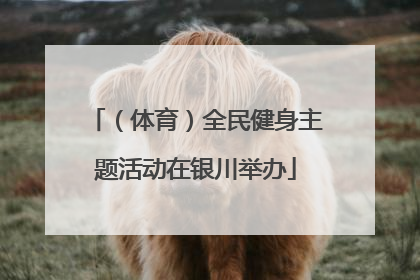 （体育）全民健身主题活动在银川举办