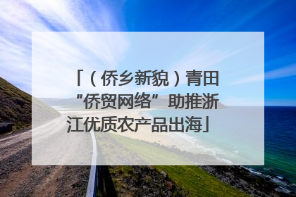 （侨乡新貌）青田“侨贸网络”助推浙江优质农产品出海