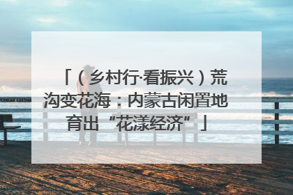 （乡村行·看振兴）荒沟变花海：内蒙古闲置地育出“花漾经济”