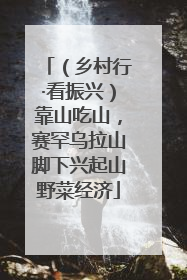（乡村行·看振兴）靠山吃山，赛罕乌拉山脚下兴起山野菜经济
