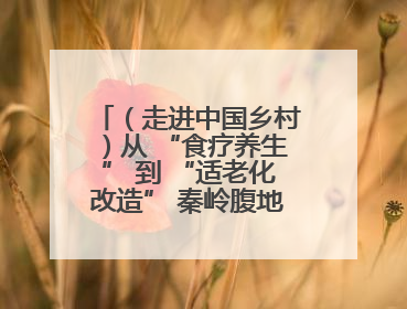 （走进中国乡村）从 “食疗养生” 到 “适老化改造” 秦岭腹地成康养“福地”