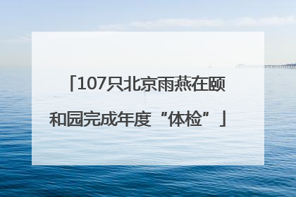 107只北京雨燕在颐和园完成年度“体检”