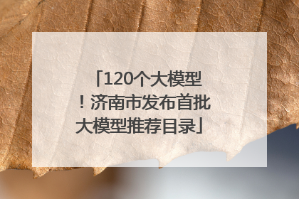 120个大模型！济南市发布首批大模型推荐目录