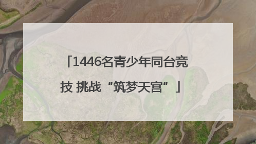 1446名青少年同台竞技 挑战“筑梦天宫”