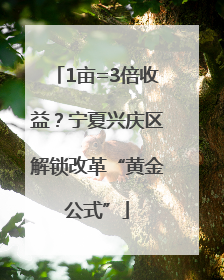 1亩=3倍收益？宁夏兴庆区解锁改革“黄金公式”