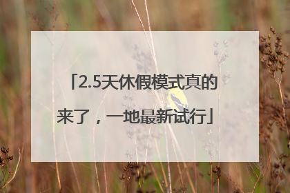 2.5天休假模式真的来了，一地最新试行