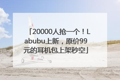 20000人抢一个！Labubu上新，原价99元的耳机包上架秒空