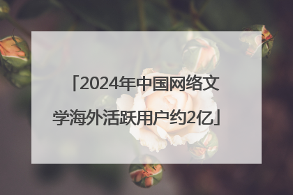 2024年中国网络文学海外活跃用户约2亿