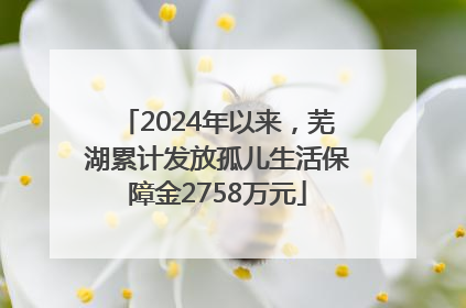 2024年以来，芜湖累计发放孤儿生活保障金2758万元