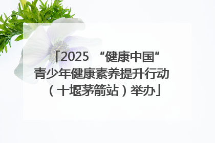 2025 “健康中国” 青少年健康素养提升行动（十堰茅箭站）举办