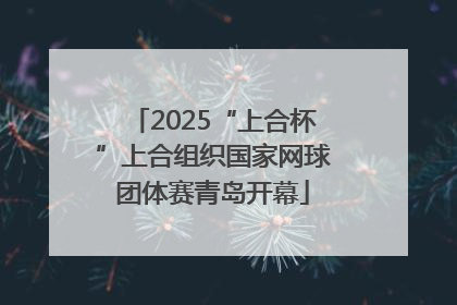 2025“上合杯”上合组织国家网球团体赛青岛开幕