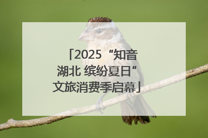 2025“知音湖北 缤纷夏日”文旅消费季启幕