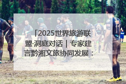 2025世界旅游联盟·洞庭对话｜专家建言黔湘文旅协同发展：聚焦产品稀缺性 深化区域经验共享