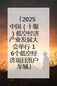 2025中国（十堰）低空经济产业发展大会举行 16个低空经济项目落户车城