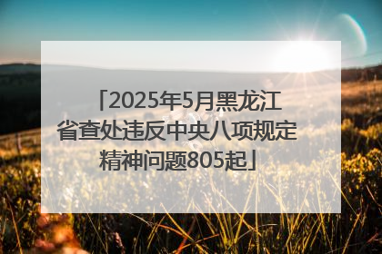 2025年5月黑龙江省查处违反中央八项规定精神问题805起