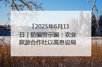 2025年6月11日｜防骗警示窗：农业旅游合作社以高息设局，集资380万