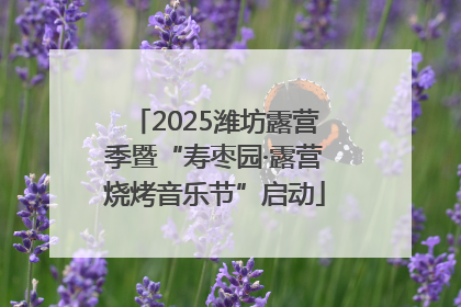 2025潍坊露营季暨“寿枣园·露营烧烤音乐节”启动