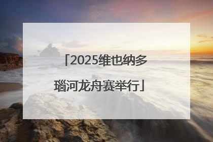 2025维也纳多瑙河龙舟赛举行