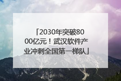 2030年突破8000亿元！武汉软件产业冲刺全国第一梯队