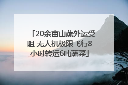 20余亩山蔬外运受阻 无人机极限飞行8小时转运6吨蔬菜