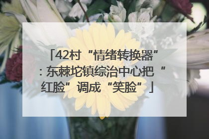 42村“情绪转换器”：东棘坨镇综治中心把“红脸”调成“笑脸”