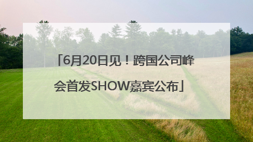 6月20日见！跨国公司峰会首发SHOW嘉宾公布