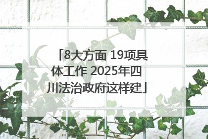 8大方面 19项具体工作 2025年四川法治政府这样建