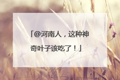 @河南人，这种神奇叶子该吃了！