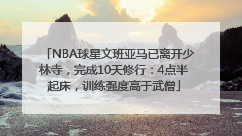 NBA球星文班亚马已离开少林寺，完成10天修行：4点半起床，训练强度高于武僧