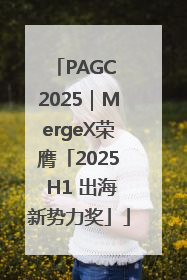 PAGC 2025｜MergeX荣膺「2025 H1 出海新势力奖」